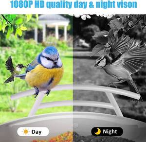 Smart Bird Feeder with Camera