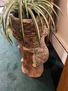 lot 74 image: Unique Koala Plant Stand