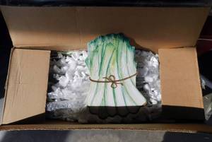 lot 134 image: Lot of 20 New Vintage Italian Ceramic Green Onion Themed Trivets
