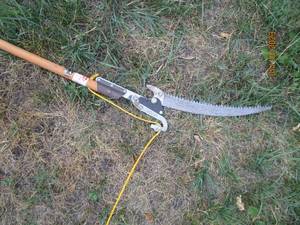 lot 290 image: Wallace Mfg Wood handled pole cutting saw