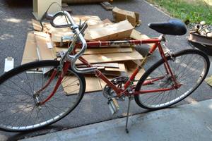 lot 208 image: K-Mart All Pro Pro 10 Bicycle...