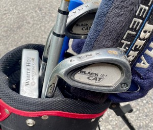 lot 239 image: Pro Series Golf Bag and Golf Clubs