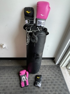lot 10 image: Venum Punching Bag and Everlast Gloves