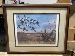 lot 68 image: Mallard Duck Print