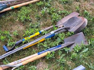 lot 150 image: Lot of (5) Shovels