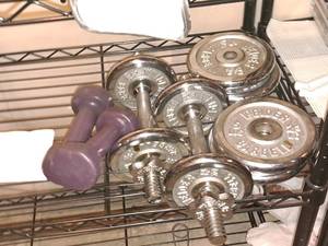 lot 294 image: Weights - (4) 5# and (4) 3#