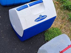 lot 202 image: Igloo Playmate Personal Cooler