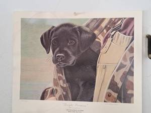 lot 250 image: Print - Bright Promise - 1995 Illinois Ducks Unlimited Artist of the Year by D.M. Stonebraker #8532200 Signed&Numbered