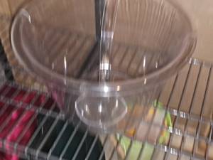 lot 315 image: Plastic Punch Bowl and Ladel