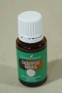 lot 187 image: Young Living Eucalyptus Radiata Essential Oil 15ml