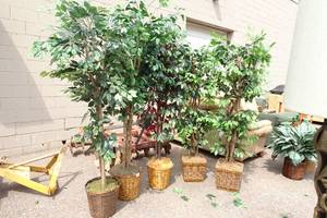 lot 168 image: 5 Artificial Trees