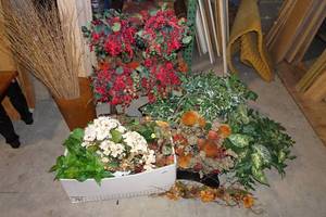 lot 595 image: Assorted Artificial PlantsFlowers