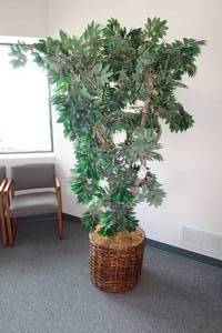 lot 364 image: 87 Artificial Tree