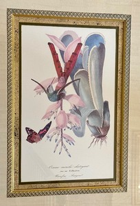 lot 12A image: Pair of Beautiful Prints