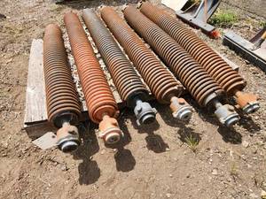 lot 36 image: Spring Rollers