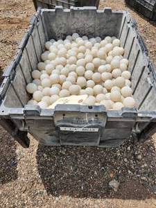 lot 52 image: Balls