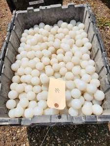 lot 53 image: Balls