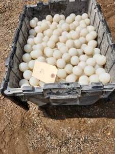 lot 56 image: Balls