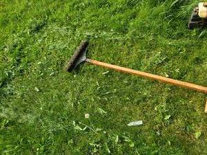 Vintage Hand Push Lawn Mower  Groomer