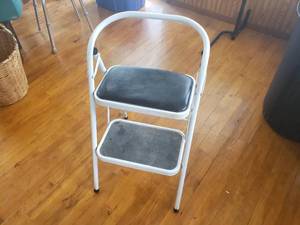 Folding Step Stool