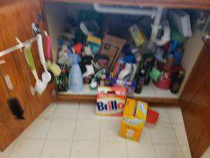 Under Sink of Cleaning Supplies
