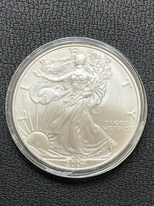 2004 Silver Eagle