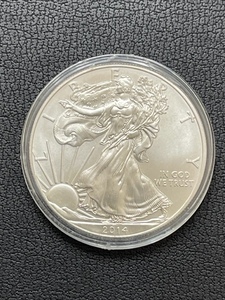 2014 Silver Eagle