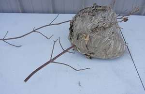 lot 191 image: Garage Decor...Beehive