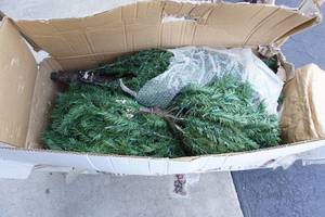 lot 322 image: Home EssentialsDecorHoliday...Christmas Tree Indoor 7 foot with 550 Clear Lights