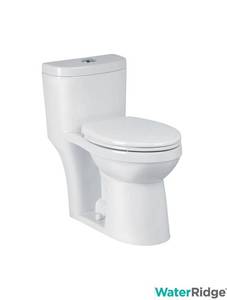 lot 1 image: Water Ridge 1-PC HET DUAL FLUSH TOILET