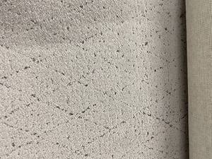 156 SF - Cut Loop Carpet REM - 12x13