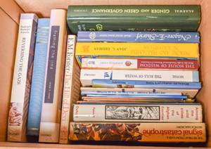 lot 105 image: Box of Books on South Asian History
