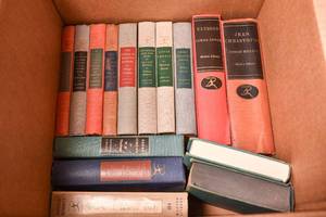 lot 249 image: Books - Modern Library Novels