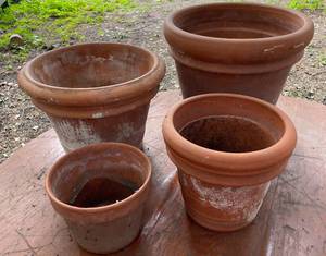 lot 416 image: Four Terracotta Pots