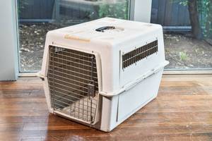 lot 119 image: Doskocil Sky Kennel Dog Crate 200P