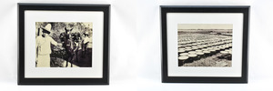 lot 221 image: Two Framed Photographs - Cowboys and Agricultural Field