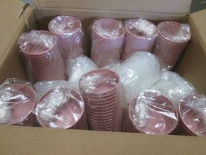 Case of 250 Denture Cup with Transl...