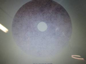 Case of 5 3M 19 inch Natural White ...