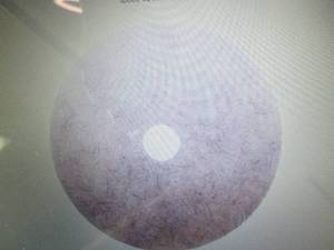 Case of 5 3M 19 inch Natural White ...