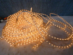 lot 38 image: Rope Lights
