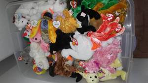 Huge Tote Of Beanie Babies.