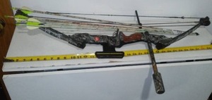Compound Bows and 4 Arrows.