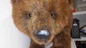 Toy Stuffed Bear.