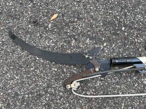 lot 117 image: Tree Trimmer Extendable to Twelve feet