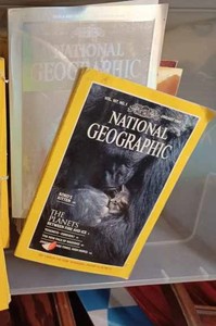 lot 54 image: Plastic Tote Full of Bundled National Geogrphics from the 1980s