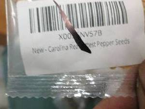 bag of various seeds ...