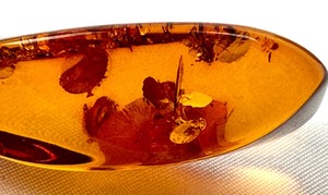 lot 14 image: Amber Pendant