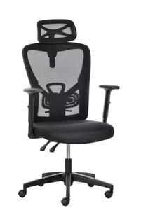 lot 253 image: Black, Mesh Home Office Chair High Back Ergonomic Computer Task Chair with Lumbar Back Support, Rotate Headrest (OPEN BOX)