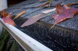 lot 240 image: GUTTERBRUSH SIMPLE GUTTER GUARD Oversize 6 in. - 60 ft. Pack Max-Flow Filter Brush Gutter Guard