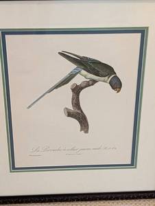 lot 154 image: Pair of Framed Parrot Prints